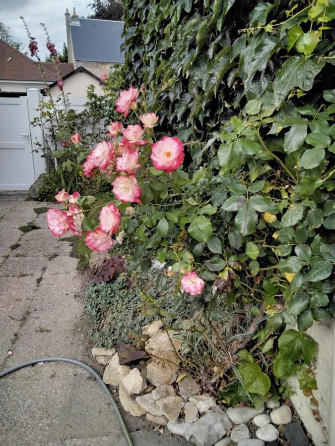 Hortensias أسنل المظهر الخارجي الصورة